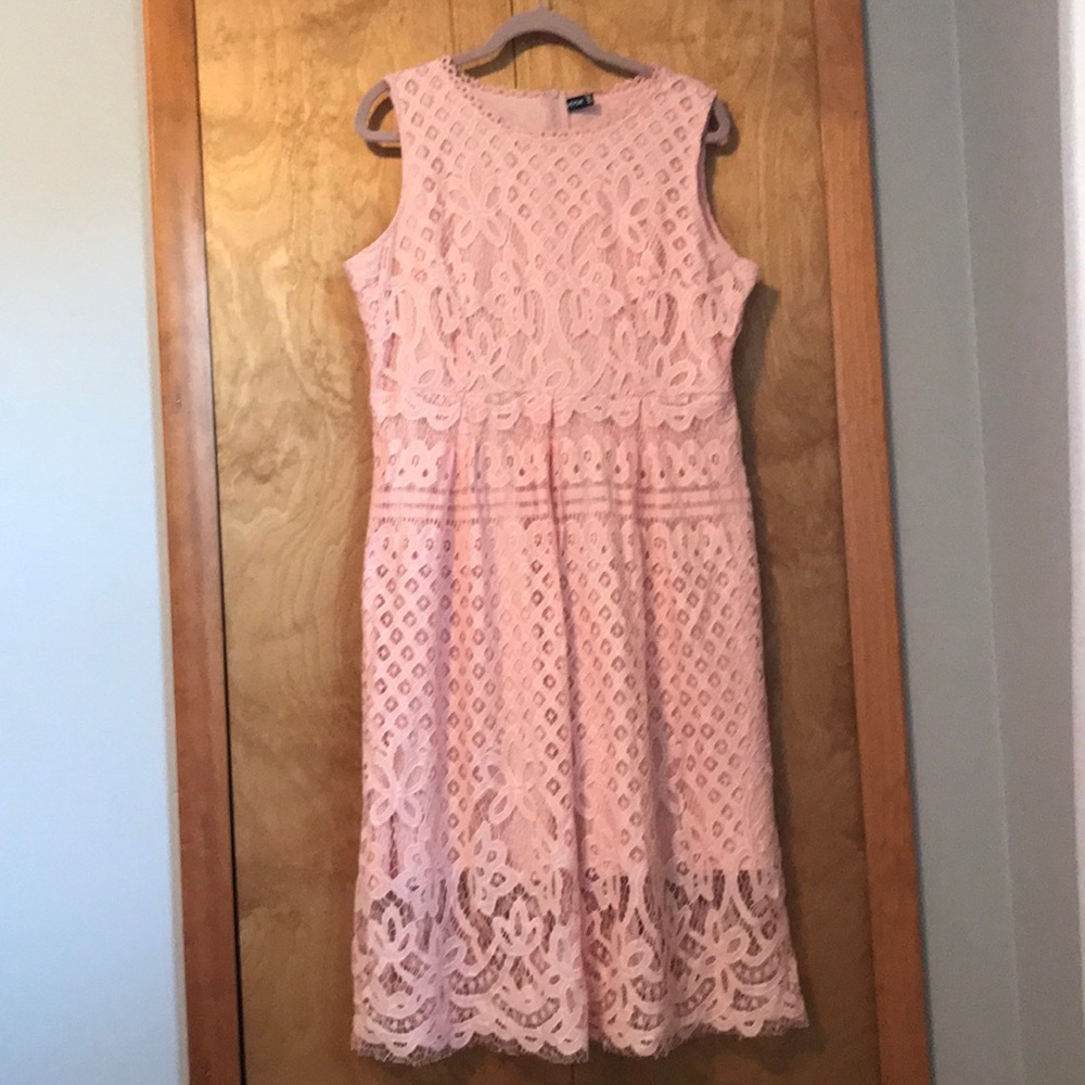 XXL Pink Fit and Flare Lace Dress
